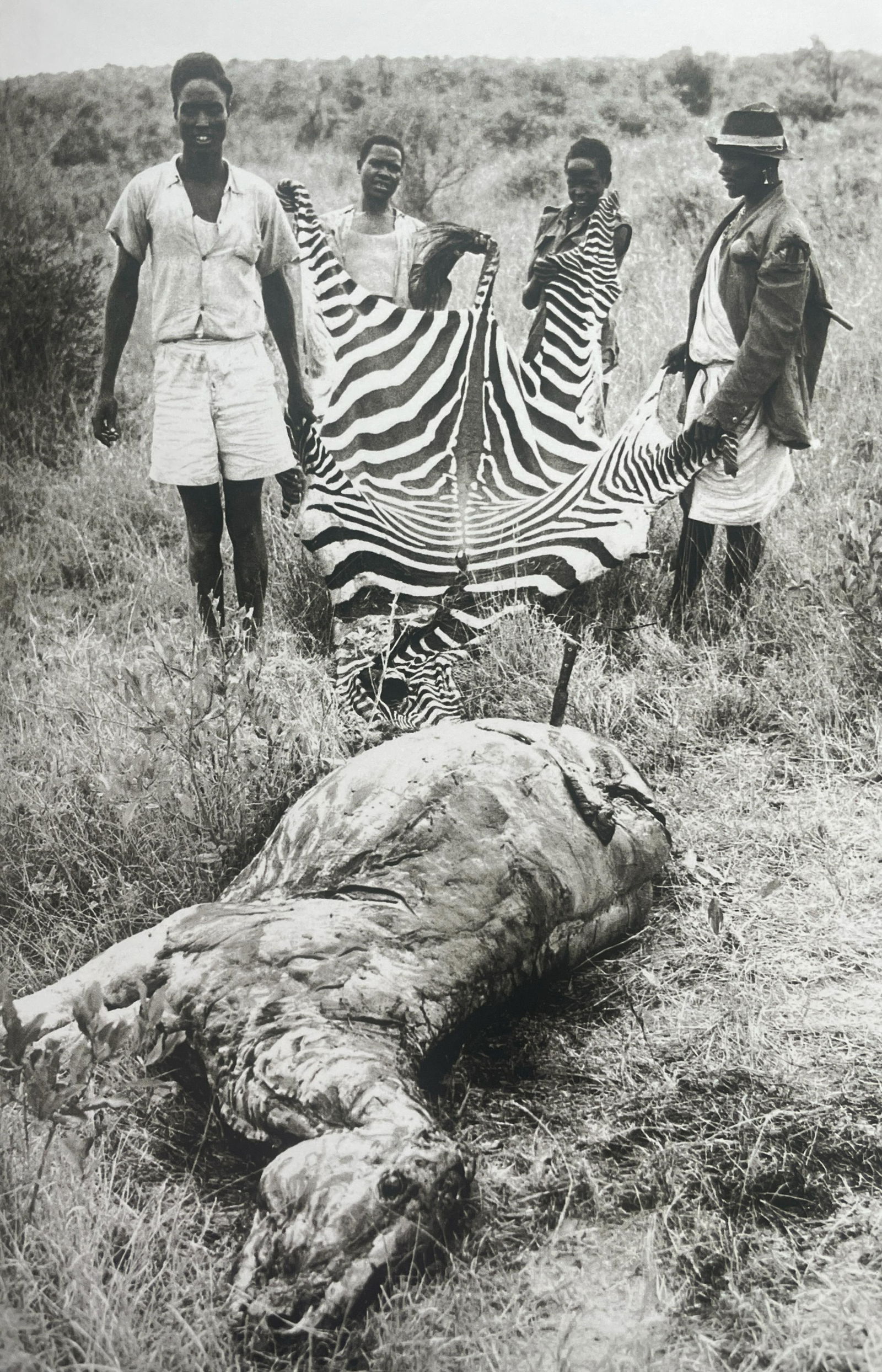 Peter Beard "Zebra Slaying, Africa" Print: Peter Beard "Zebra Slaying, Africa" Print. Measures 10.75 x 7. Mounted to Archival Quality Paper. Verso is blank.