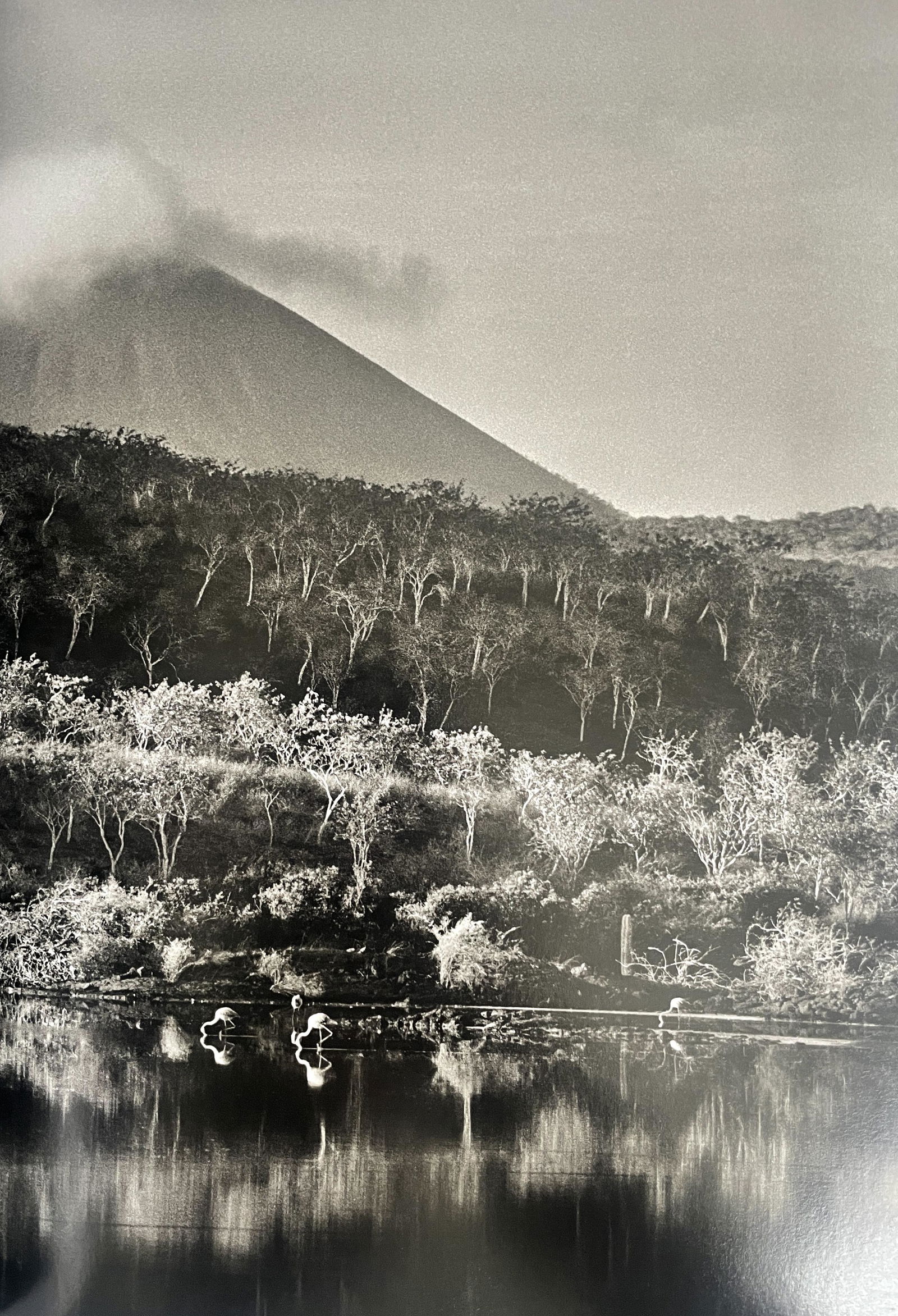 Sebastiao Salgado "Untitled" Print (1 of 6)
