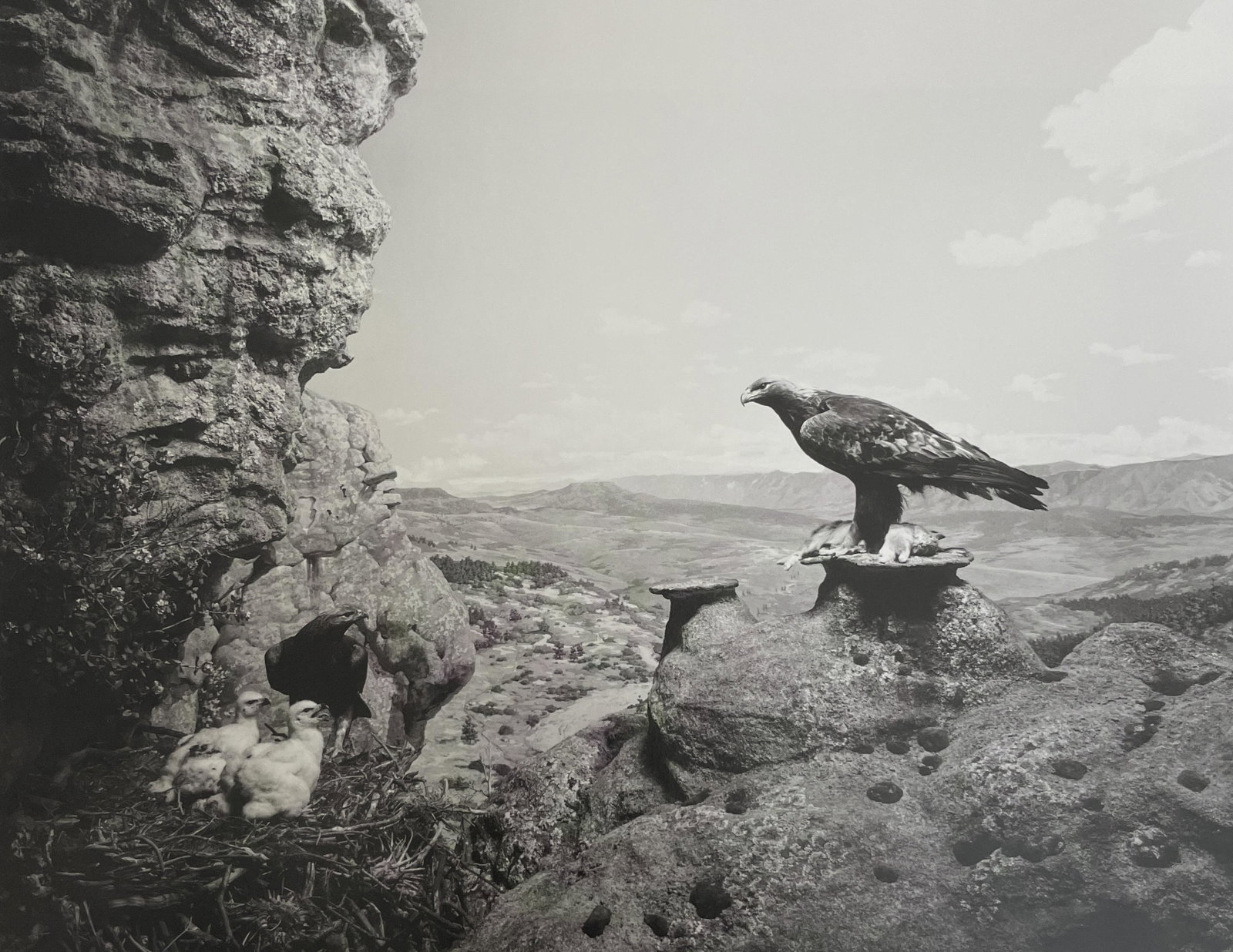 Hiroshi Sugimoto "Golden Eagle, 1994" Print (1 of 5)
