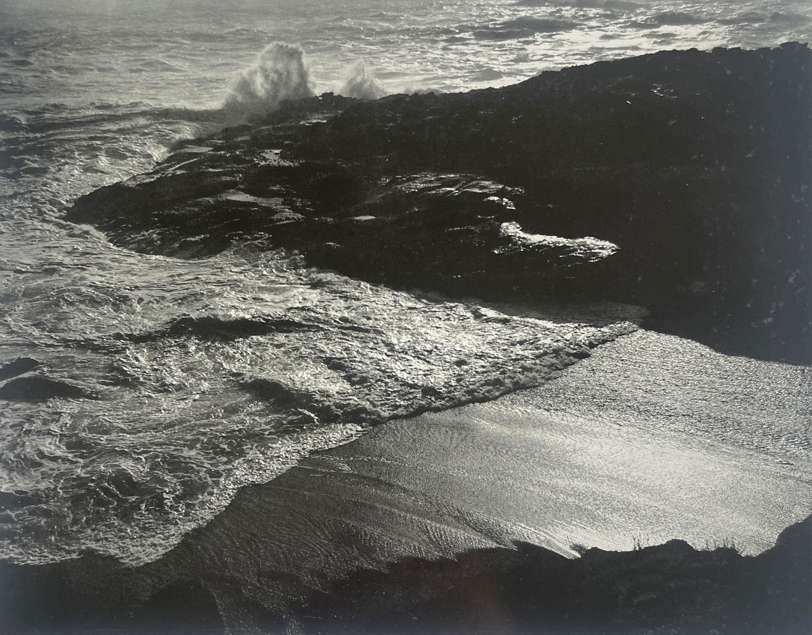 Edward Weston "Sea Lion Cove, 1939" Print (1 of 5)
