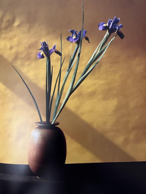 Robert Mapplethorpe "Irises, 1982" Print. (1 of 6)