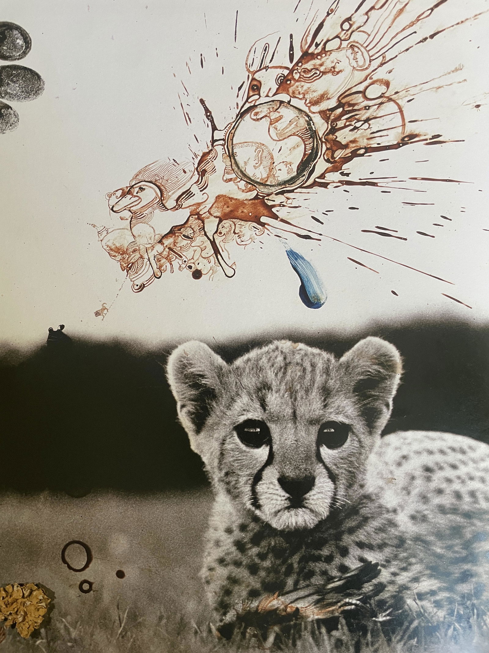 Peter Beard "Cub" Print (1 of 6)
