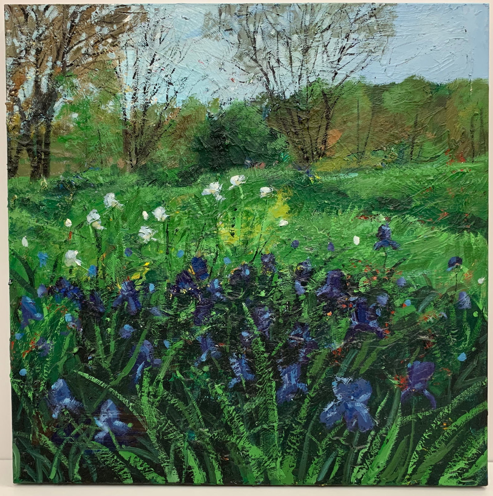 Jennifer Vranes "Irises in the Spring" - Original 24 x 25 Inch Acrylic Painting on Canvas - Ready to (1 of 1)