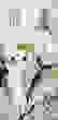 item-61429260=1