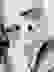 item-61429260=4