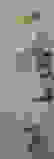 item-61429265=1