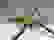 item-61429269=5