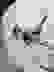 item-76105015=6