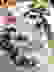item-76105020=5
