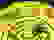 item-76105025=5