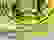 item-76105025=6