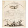 1845 President JOHN TYLER Signed Army Commission
