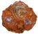2726: Polished Petrified Wood Section, Araucarioxylon