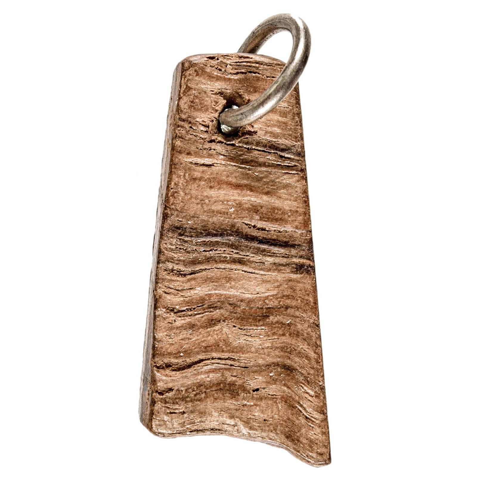 Washington Sentry Chestnut Tree Wood Chip Relic (1 of 4)