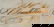 2020: Benjamin Franklin Signed Letter, 1782 - 5