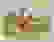 item-25831200=2