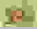 item-25831204=2