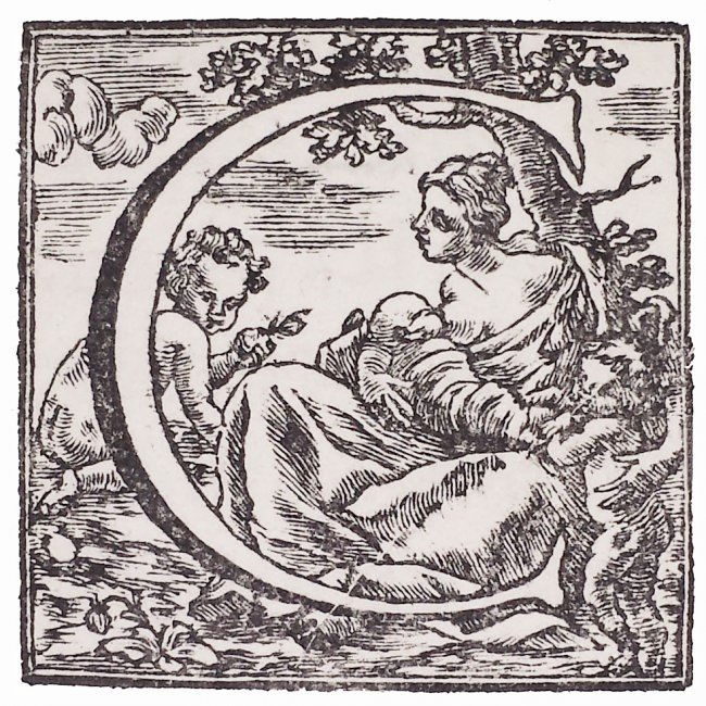 [Property Laws] Dandini, De servitutibus praedior. 1741 (1 of 10)