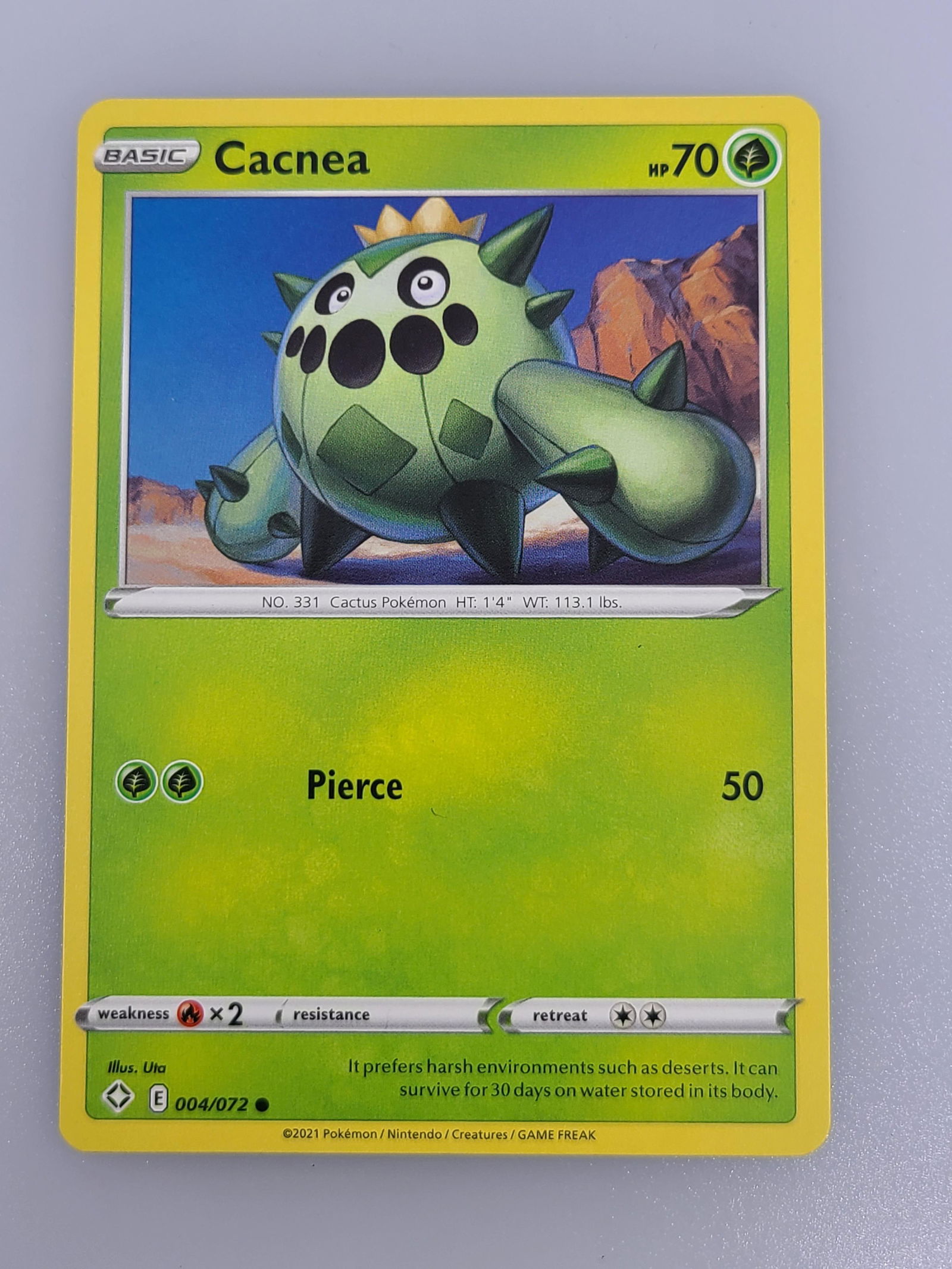 Cacnea Pokemon Card (1 of 1)