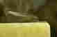item-103043684=2