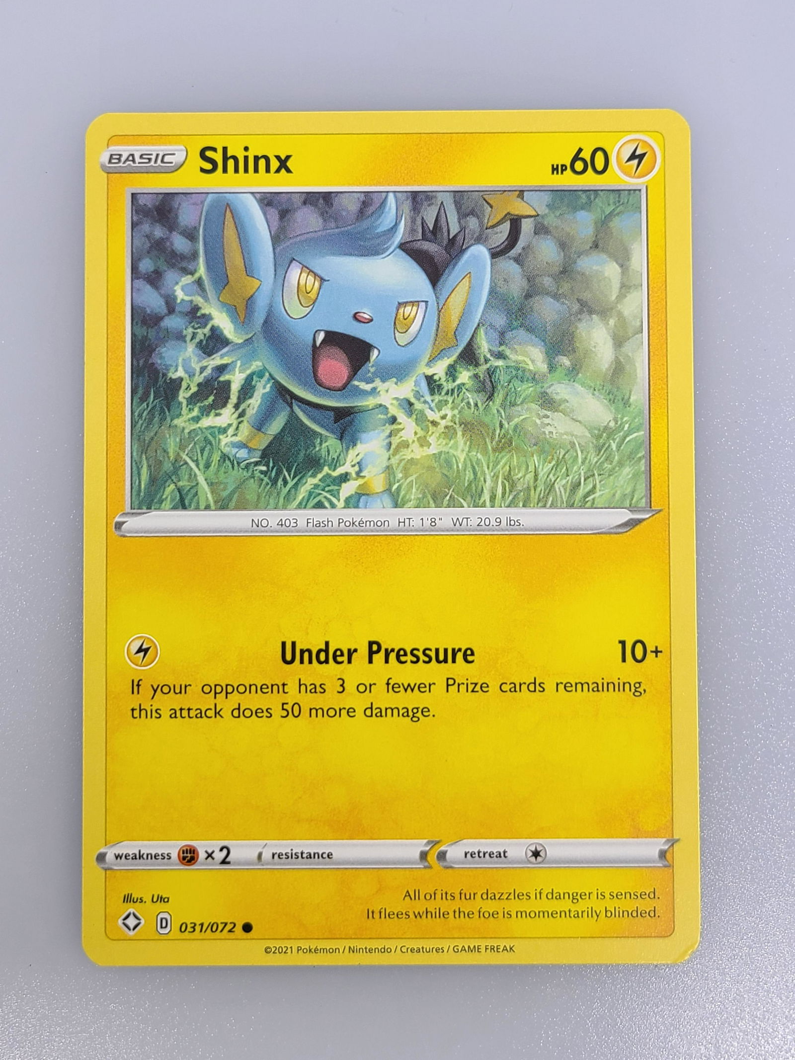 Shinx Pokemon Card