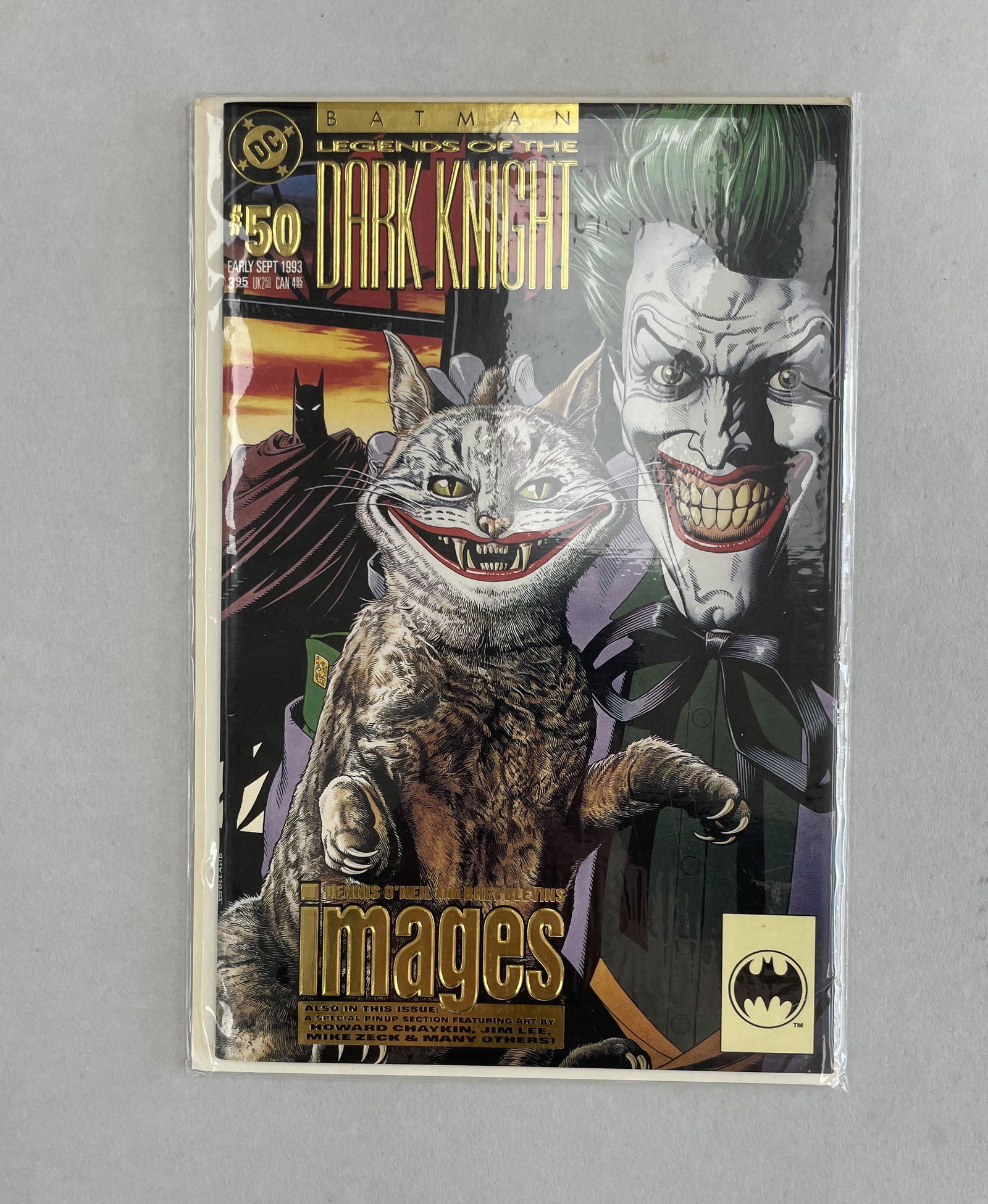 BATMAN LEGENDS OF THE DARK KNIGHT #50 DC COMICS 1993 (1 of 1)