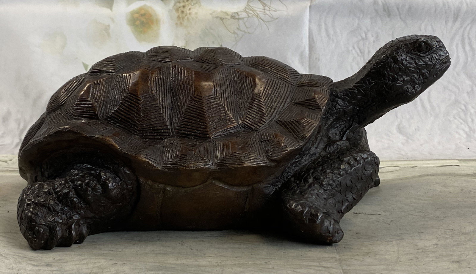 Milo Tortoise Turtle Bronze (1 of 4)
