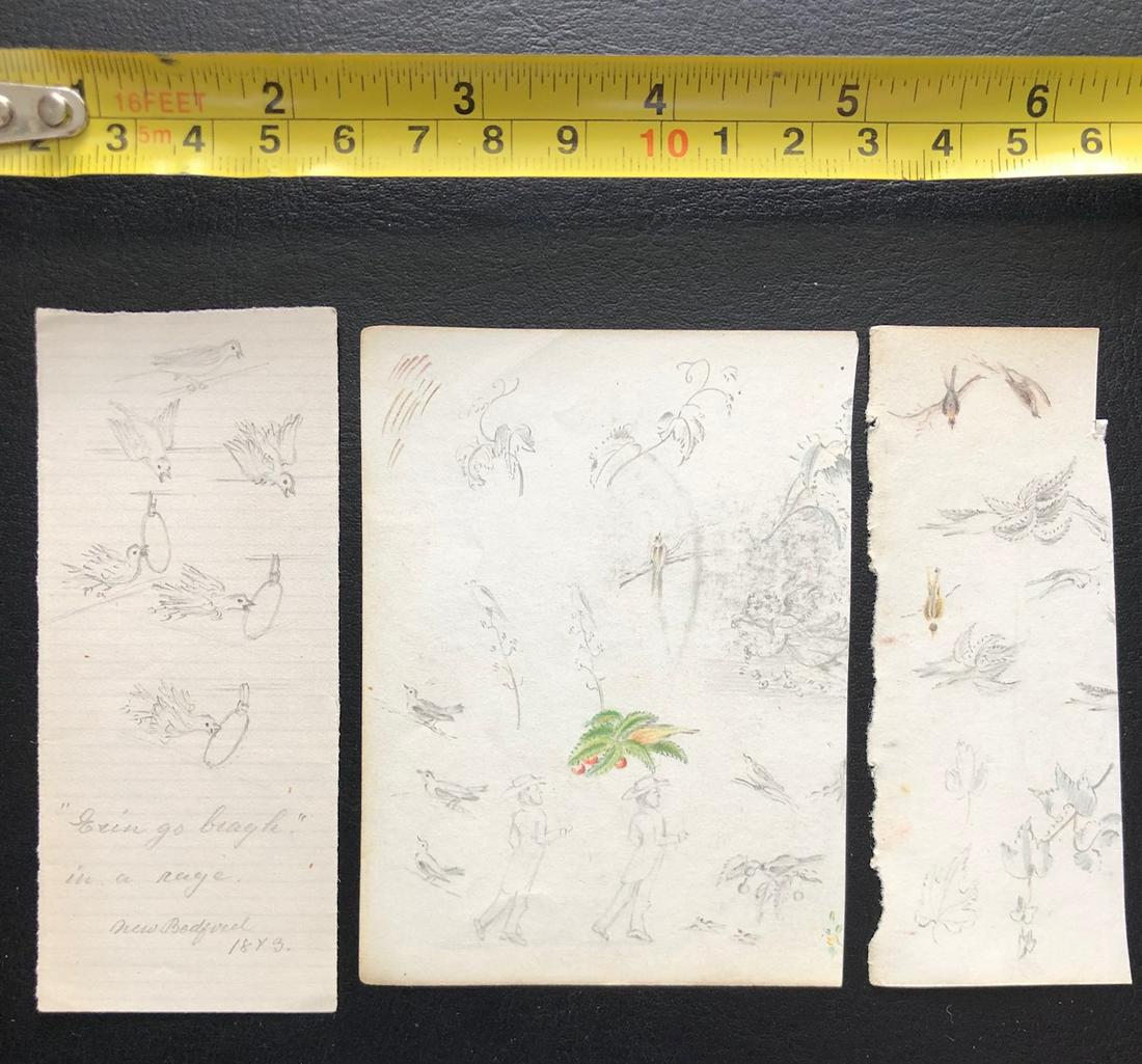 School and period of Edward Lear: graphite color pencil on paper