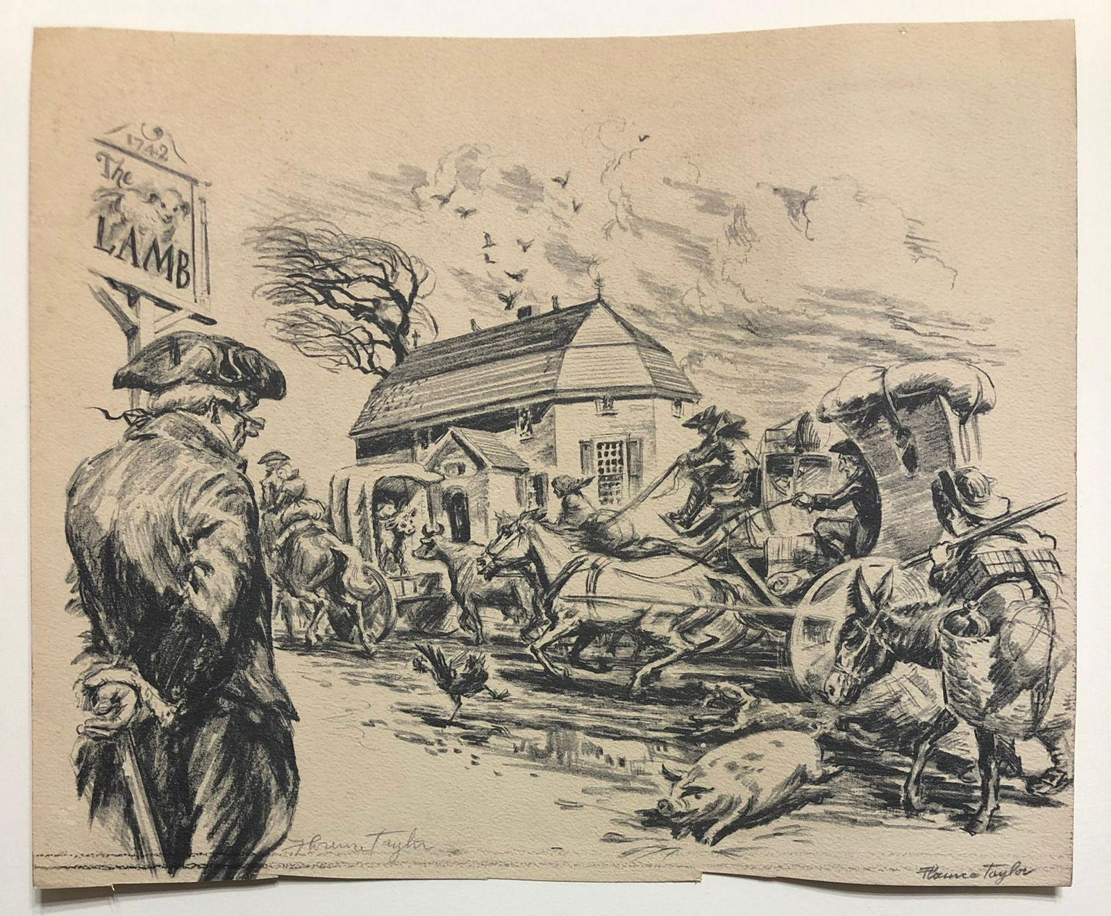 Florence Starr Taylor illustration signed in pencil (1 of 1)