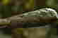 item-120799275=3