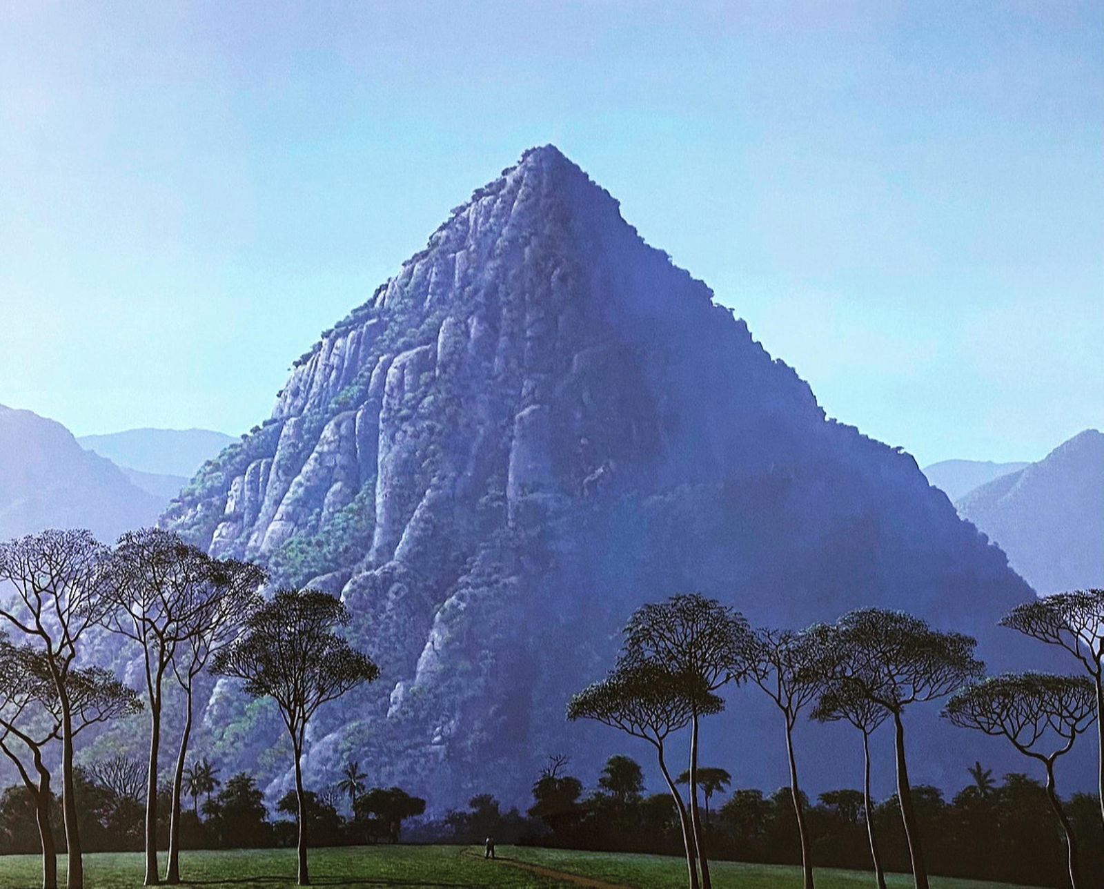 Tomas Sanchez (1 of 1)