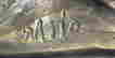 item-128321578=4