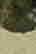 item-129962770=3