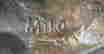 item-133879986=5