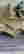 item-135830749=4