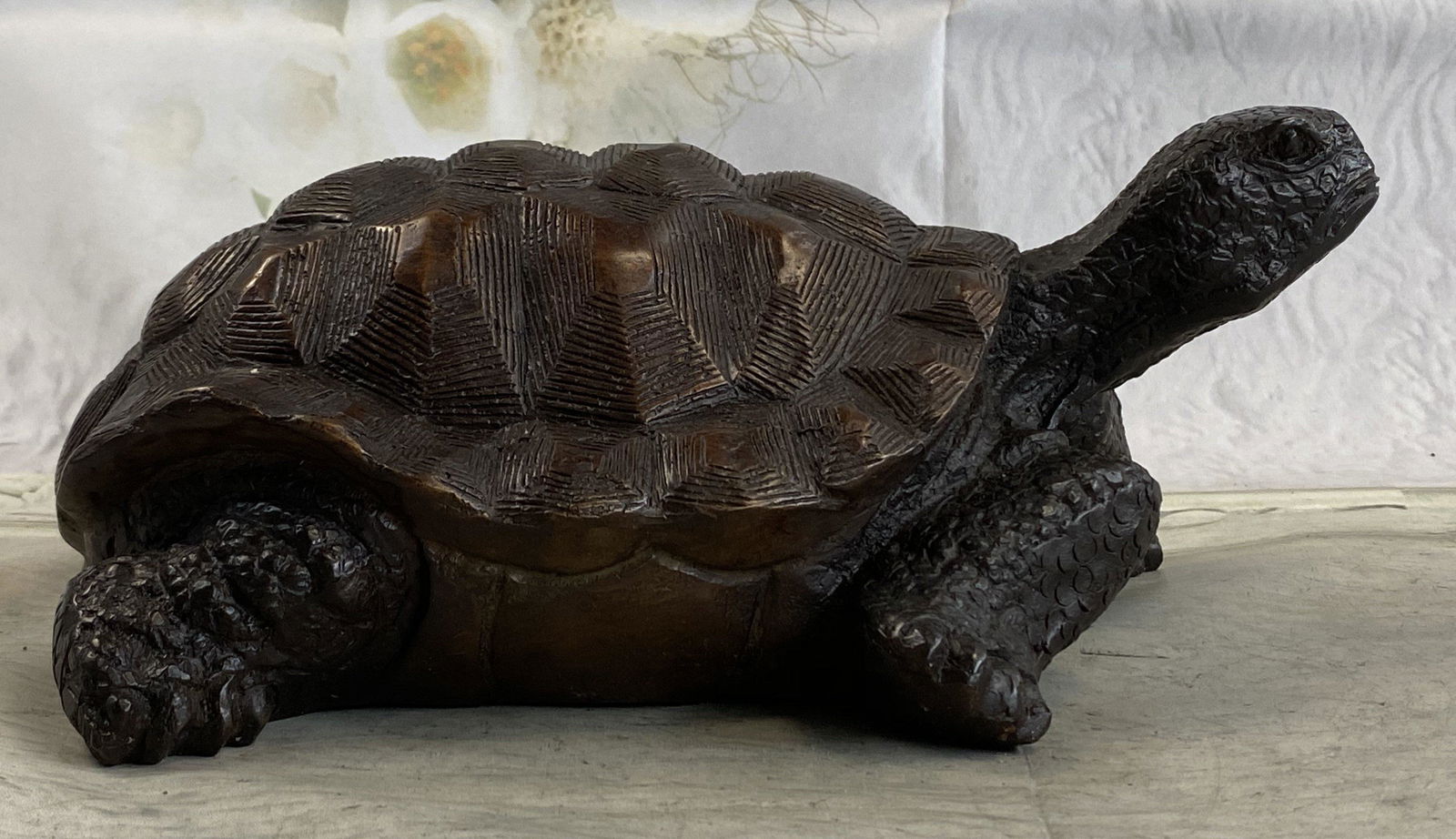Milo Tortoise Turtle Bronze (1 of 4)