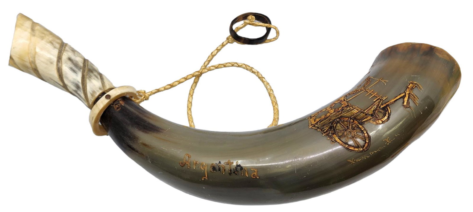 Argentinian Bull Horn: 16" L