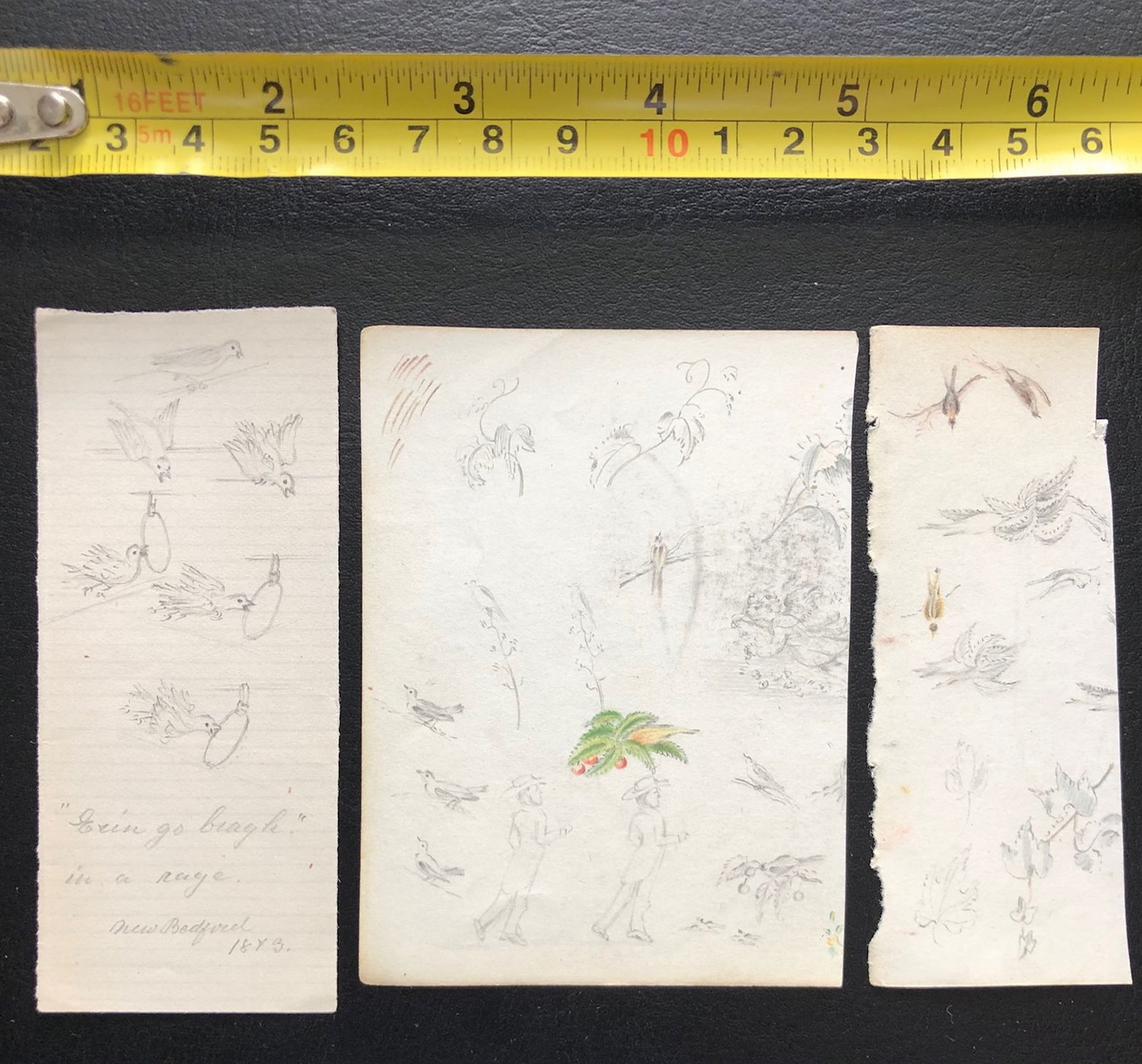 School and period of Edward Lear: graphite color pencil on paper