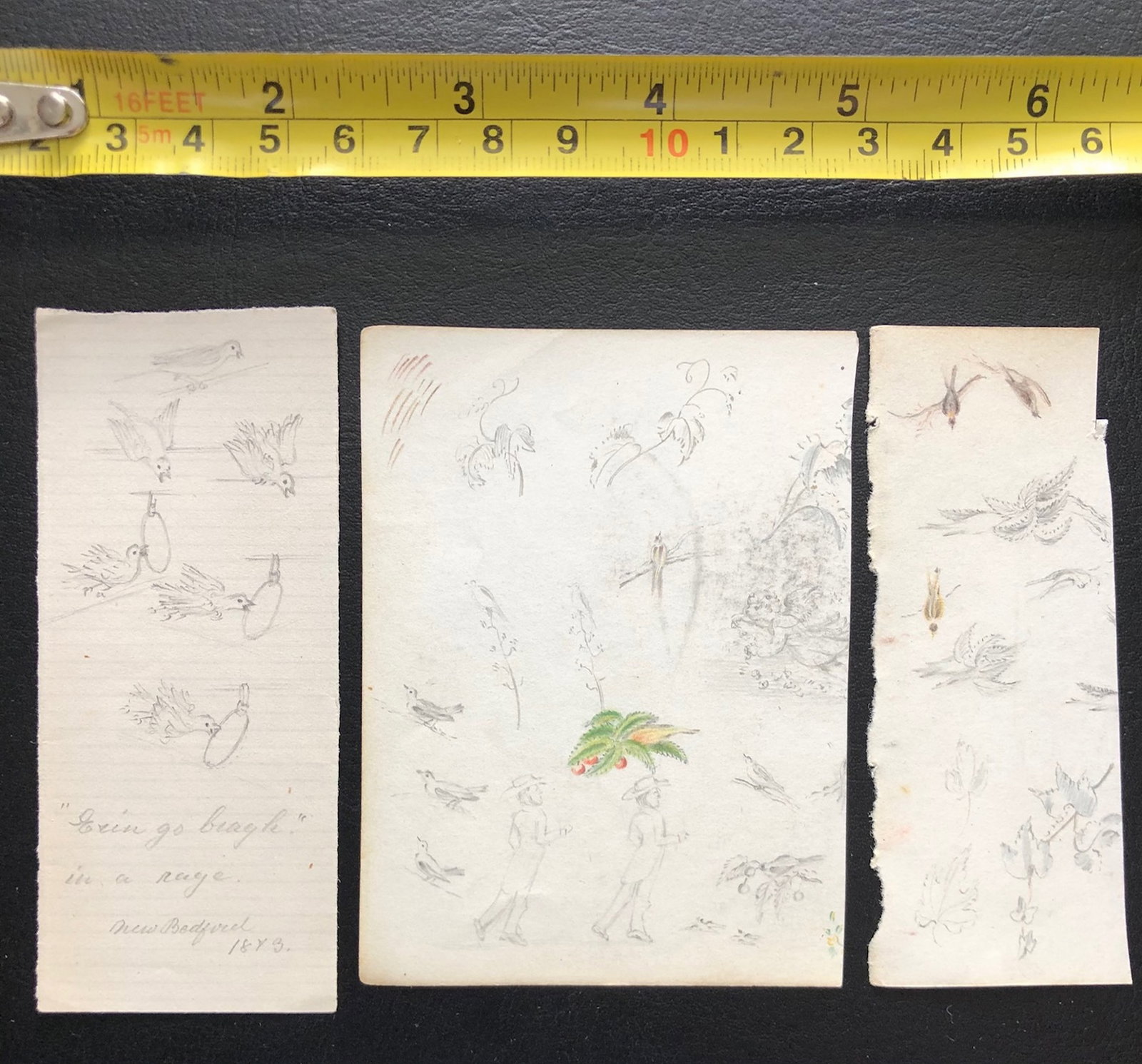 School and period of Edward Lear: graphite color pencil on paper