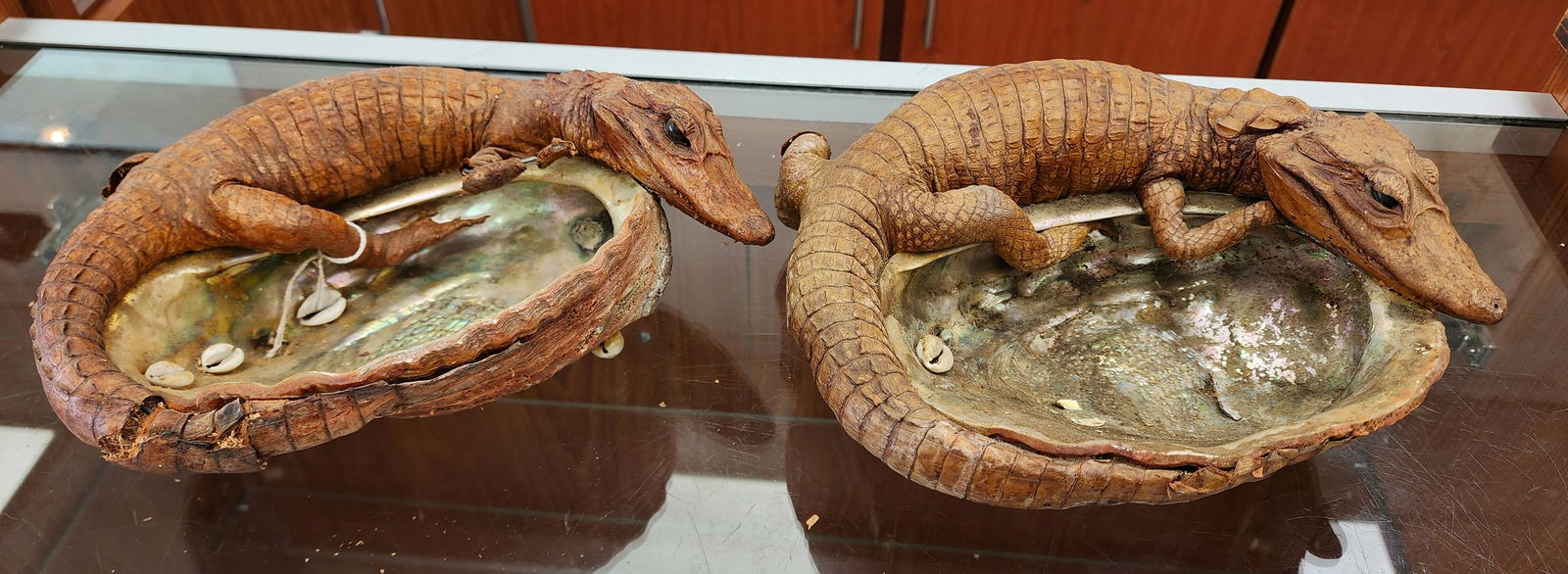Taxidermy Alligator & Abalone Shell Dish (1 of 3)