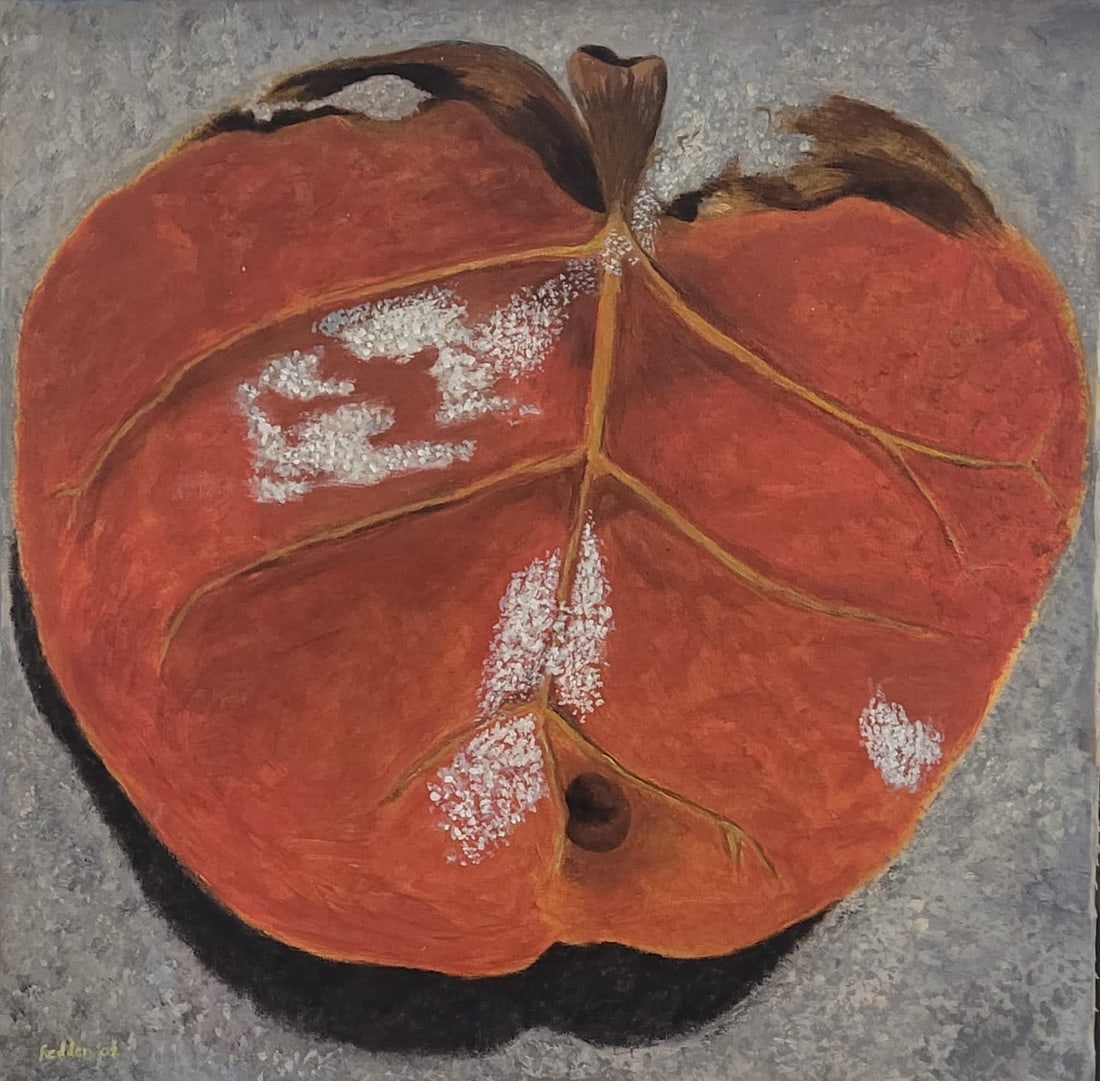 Mary Fedden Atrib.: Oil on Canvas. 24" x 24"