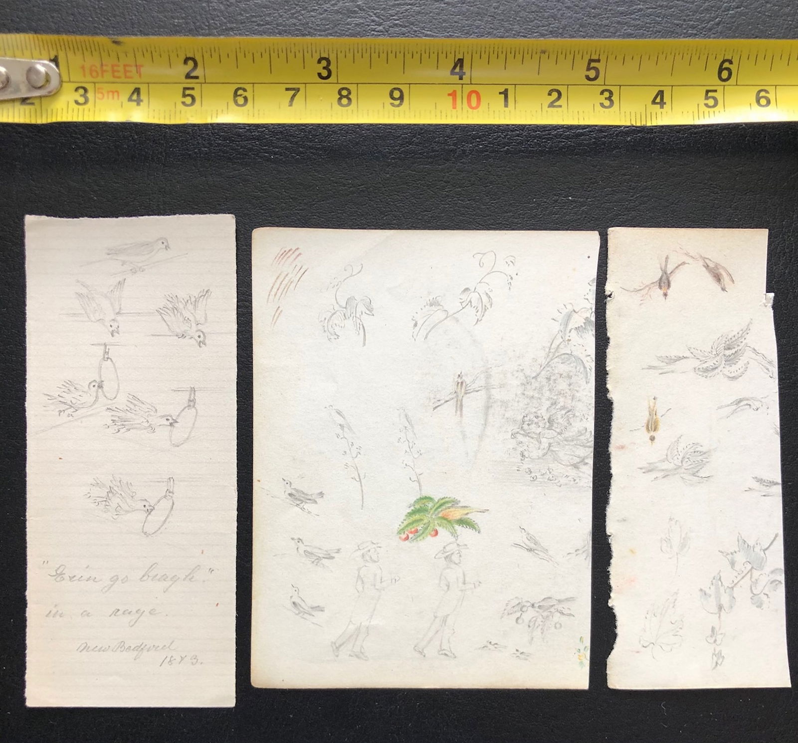 School and period of Edward Lear: graphite color pencil on paper