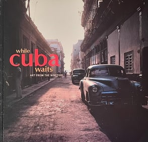While Cuba Waits Art from the Nineties