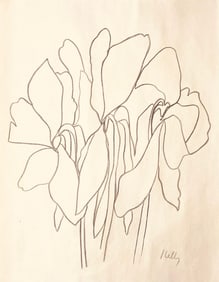 Ellsworth Kelly (manner)