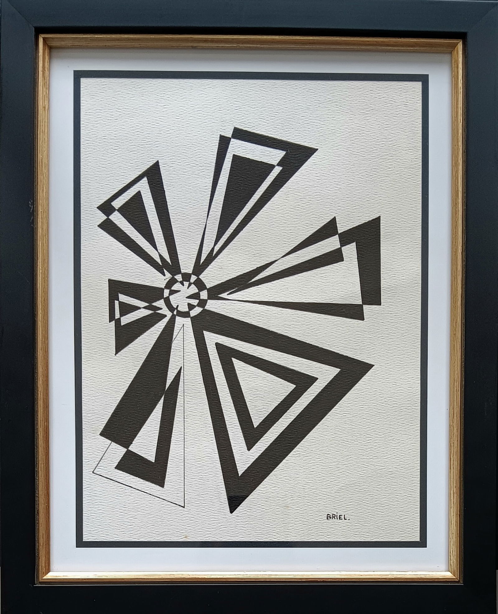 Ernesto Briel (1 of 1)