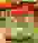 item-43793083=4