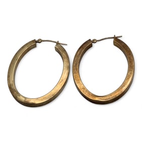 Sterling Silver Gold Tone Earrings