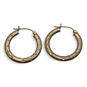 14k Yellow Gold Hoop Earrings