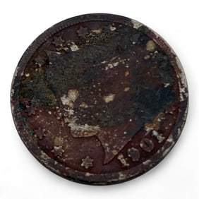 1901 Liberty Head V Nickel