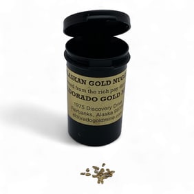 Alaskan Gold Nugget